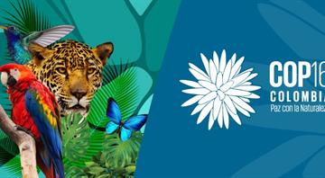 Countries launch nature coalition at UN COP16 talks, warn of human extinction Countries launch nature coalition at UN COP16 talks, warn of human extinction