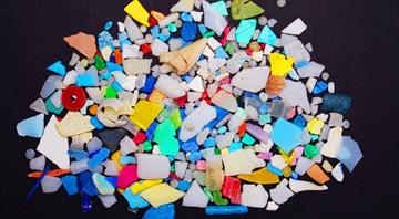 Microplastics found in every human testicle in study
