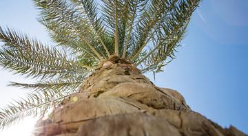 UAE releases sustainability guide with doable actions at home, work and travel UAE releases sustainability guide with doable actions at home, work and travel