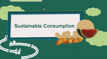 How UAE’s Year of Sustainability drove behaviour change How UAE’s Year of Sustainability drove behaviour change