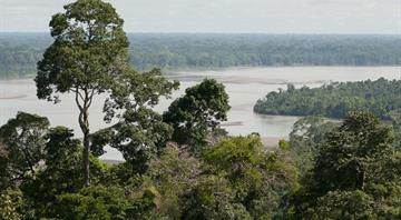 Ecuador launches $1 bln bond to fund Amazon conservation buyback Ecuador launches $1 bln bond to fund Amazon conservation buyback