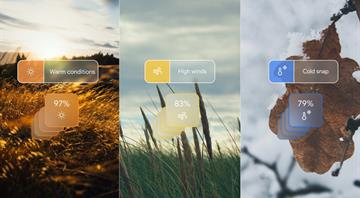 Google DeepMind predicts weather more accurately than leading system Google DeepMind predicts weather more accurately than leading system