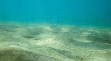 Deep sea mining impacts still felt forty years on, study shows Deep sea mining impacts still felt forty years on, study shows