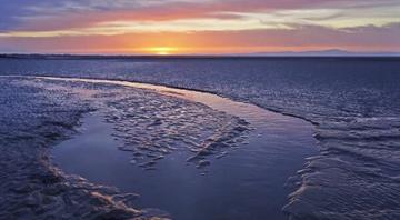 ‘Vast’ carbon sink of mud on seabed needs more protection, study shows ‘Vast’ carbon sink of mud on seabed needs more protection, study shows