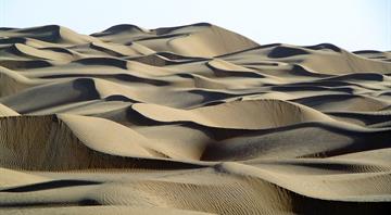 China completes 3,000-km green belt around its biggest desert, state media says China completes 3,000-km green belt around its biggest desert, state media says