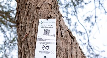 The Environment Agency–Abu Dhabi Expands Its Native Tree-Tagging Programme The Environment Agency–Abu Dhabi Expands Its Native Tree-Tagging Programme