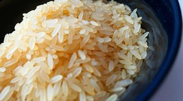 Half the World’s People Depend on Rice. New Research Says Climate Change Will Make it Toxic Half the World’s People Depend on Rice. New Research Says Climate Change Will Make it Toxic