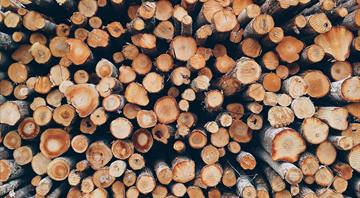 US paper industry asks Trump to seek lighter EU deforestation rules US paper industry asks Trump to seek lighter EU deforestation rules