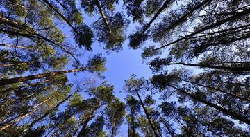 Germany provides nearly $14 billion for climate financing in 2024 Germany provides nearly $14 billion for climate financing in 2024