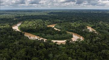 Scientists run climate 'time machine' in Amazon as Brazil preps for COP30 Scientists run climate 'time machine' in Amazon as Brazil preps for COP30