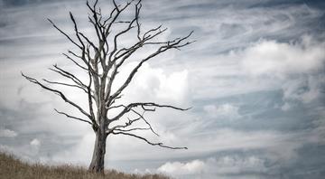 Average person will be 40% poorer if world warms by 4C, new research shows Average person will be 40% poorer if world warms by 4C, new research shows