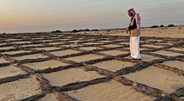 Spirit of resilience braces desertification winds in Saudi Arabia Spirit of resilience braces desertification winds in Saudi Arabia