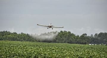 EU chemical firms plan to export rising quantities of ‘toxic’ pesticides, documents show EU chemical firms plan to export rising quantities of ‘toxic’ pesticides, documents show