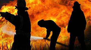 Dangerous temperatures could kill 50% more Europeans by 2100, study finds Dangerous temperatures could kill 50% more Europeans by 2100, study finds