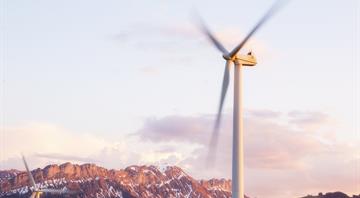 Swiss wind park ordered to scale back to protect birds Swiss wind park ordered to scale back to protect birds
