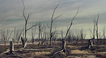 40-year study suggests extreme droughts will become more frequent and severe 40-year study suggests extreme droughts will become more frequent and severe
