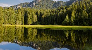 Seven quiet breakthroughs for climate and nature in 2024 Seven quiet breakthroughs for climate and nature in 2024