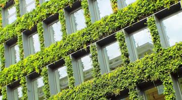 How building 'green walls' can cut indoor pollution and promote more productive offices How building 'green walls' can cut indoor pollution and promote more productive offices