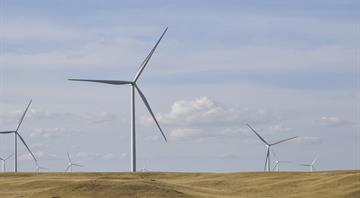 Trump budget proposes slashes to renewable energy, farms, EPA Trump budget proposes slashes to renewable energy, farms, EPA