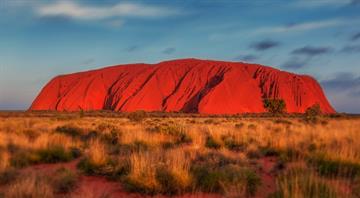More animals and plants added to Australia's endangered species list More animals and plants added to Australia's endangered species list