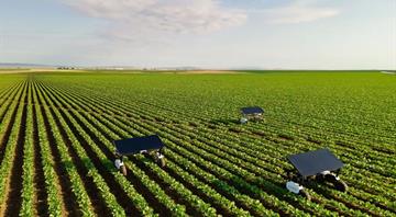 Could robot weedkillers replace the need for pesticides?