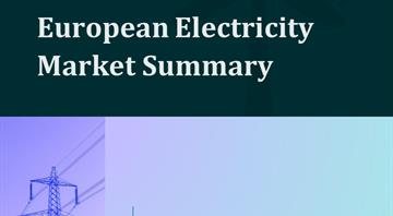 Record number of negative power price hours in Europe Record number of negative power price hours in Europe