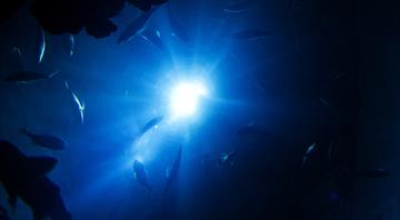 Deep ocean marine heatwaves may be under-reported, study says Deep ocean marine heatwaves may be under-reported, study says