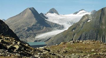 Switzerland's Gries Glacier melting at an alarming pace Switzerland's Gries Glacier melting at an alarming pace