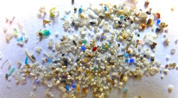 UK falling behind on tackling microplastic pollution, scientists say UK falling behind on tackling microplastic pollution, scientists say