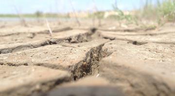 Middle East countries face extreme heat risk, study finds Middle East countries face extreme heat risk, study finds