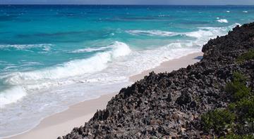 Bahamas debt swap unlocks $124 million for ocean protection Bahamas debt swap unlocks $124 million for ocean protection