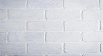 Company launches eco-bricks that 'absorb carbon' Company launches eco-bricks that 'absorb carbon'