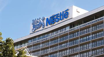 Nestle, others warn EU law delays are endangering forests worldwide Nestle, others warn EU law delays are endangering forests worldwide