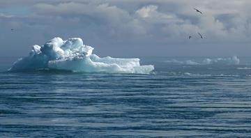 World's glaciers are losing record ice as global temperatures climb, U.N. says World's glaciers are losing record ice as global temperatures climb, U.N. says