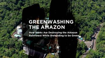 World’s top banks ‘greenwashing their role in destruction of the Amazon’ World’s top banks ‘greenwashing their role in destruction of the Amazon’