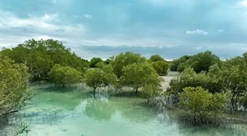 UAE to address critical environmental challenges at IUCN World Conservation Congress 2025