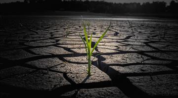 Cities face droughts as world's poorest feel climate change most Cities face droughts as world's poorest feel climate change most