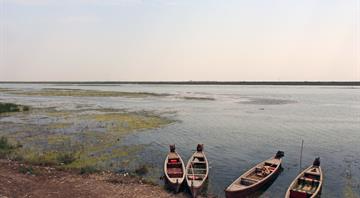 Iraq's historic marshes revive as water returns after years of drought
