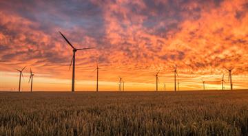 Record 165 GW of wind power capacity added in 2025, led by China, report says