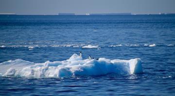 Record winter temperatures in Antarctic raise fears over speed of climate breakdown Record winter temperatures in Antarctic raise fears over speed of climate breakdown