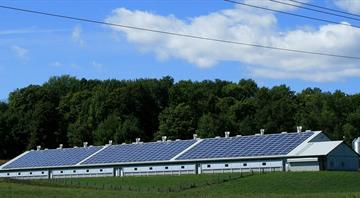 ‘Coal power has lost its status’: Solar power outstrips coal in US despite Trump's attacks ‘Coal power has lost its status’: Solar power outstrips coal in US despite Trump's attacks