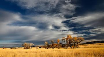 Grasslands and wetlands are being lost to agriculture four times faster than forests