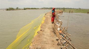 UK to cut climate finance to poor countries by a fifth despite promising more help