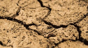 Flawed economic models mean climate crisis could crash global economy, experts warn