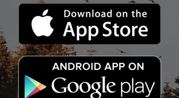 Gotta watch ‘em all? Pokémon-style app for birdwatching launches