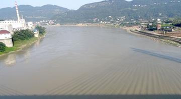 China’s Yangtze River shows signs of remarkable recovery after fishing ban