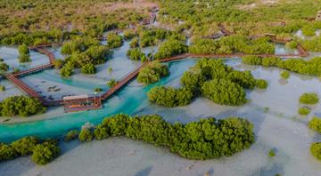 EAD and TAQA Join Forces Under the Abu Dhabi Mangrove Initiative to Advance Innovative Biodiversity Research and Conservation in the UAE