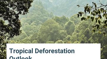 Rainforests pushed to breaking point by new demands for resources, report says