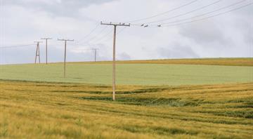 Seven EU ministers ask Commission to keep rules on energy pricing