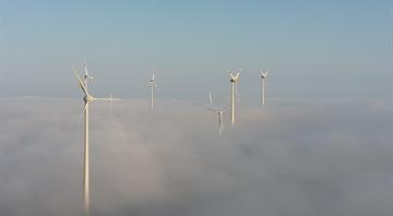 This year’s Christmas could be Britain’s greenest yet, energy operator says